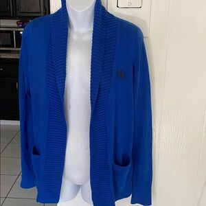 Abercrombie & Fitch Royal Blue Knitwear